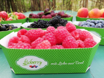 Floberry Beeren