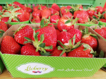 Floberry Erdbeeren